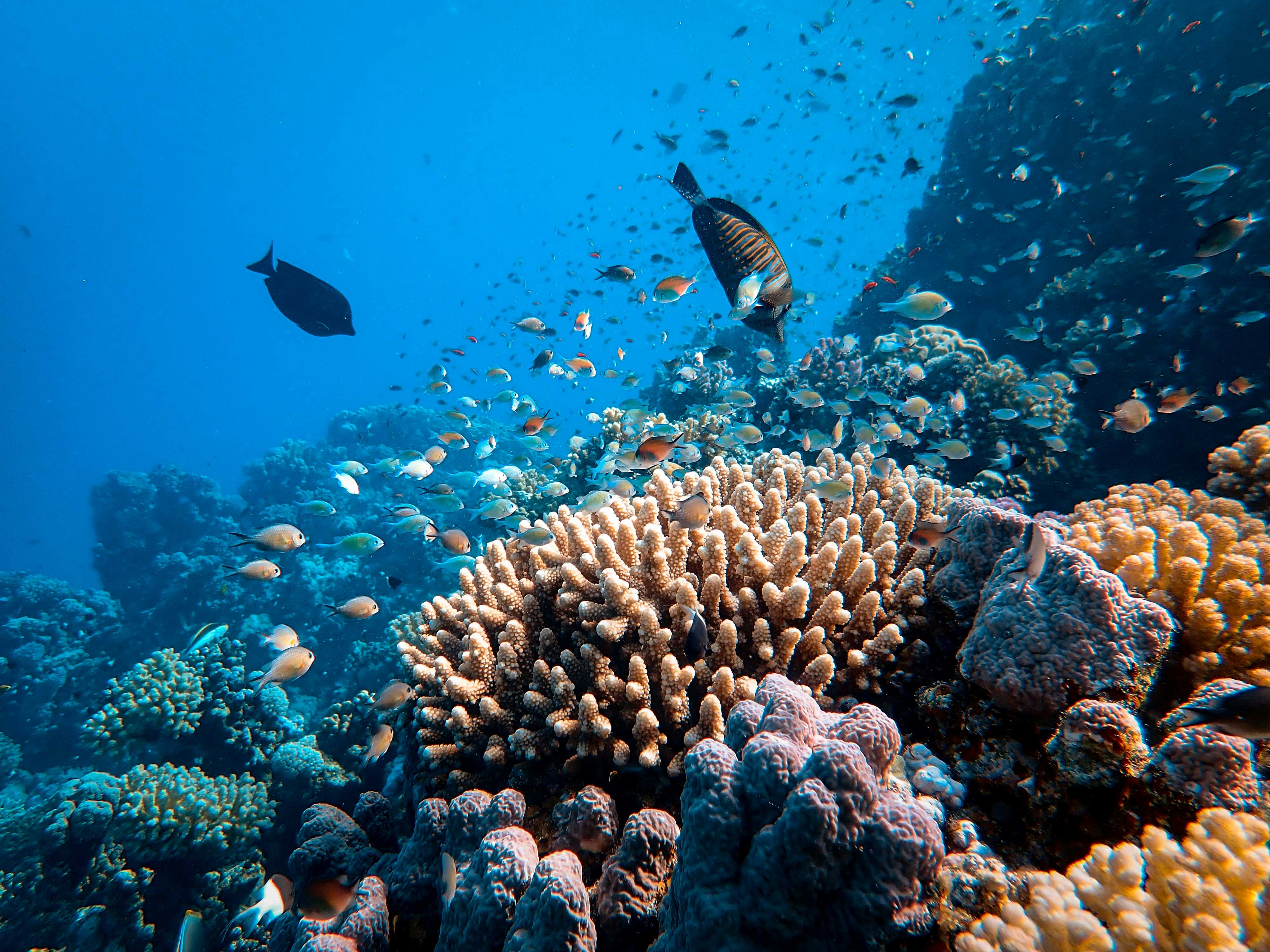 Underwater mapping