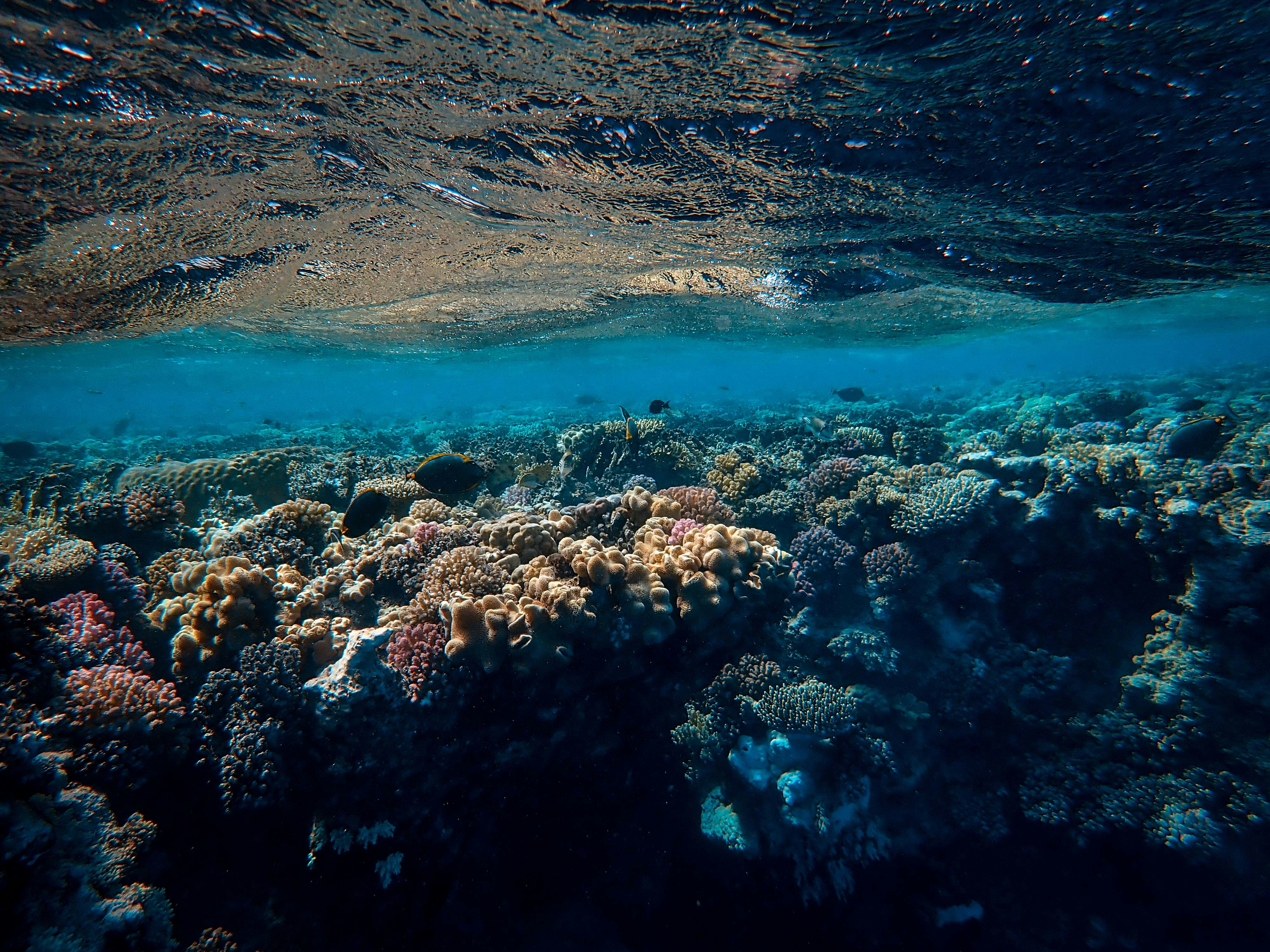 Underwater mapping
